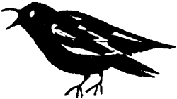 Иллюстрация к книге — Саша и Маша 3 [_3.png]