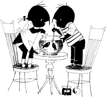 Иллюстрация к книге — Саша и Маша - 4 [_42.png]