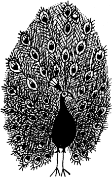 Иллюстрация к книге — Саша и Маша 5 [_58.png]