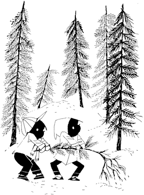 Иллюстрация к книге — Саша и Маша 5 [_82.png]