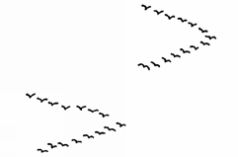 Иллюстрация к книге — Жизнь после Бога [bdtofb2im_39.jpg]