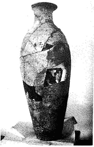 Иллюстрация к книге — Покорение Сибири: Мифы и реальность [i_020.jpg]