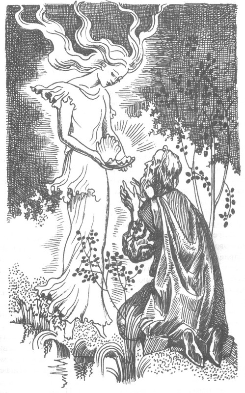 Иллюстрация к книге — Последняя надежда [_449.jpg]