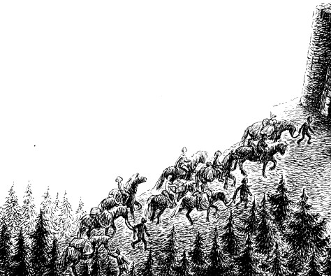 Иллюстрация к книге — Рони, дочь разбойника [i_008.jpg]