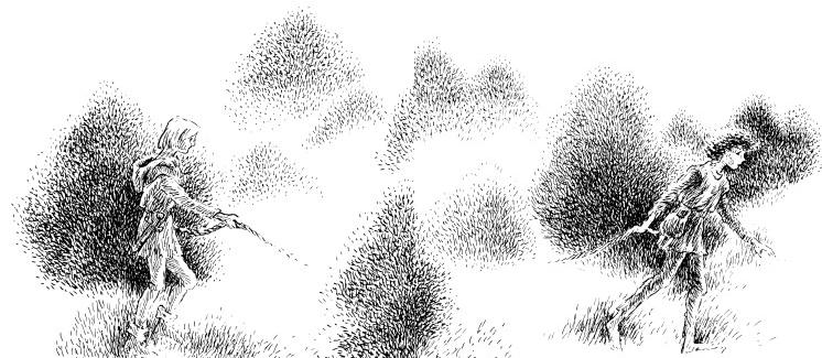 Иллюстрация к книге — Рони, дочь разбойника [i_014.jpg]