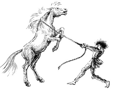 Иллюстрация к книге — Рони, дочь разбойника [i_023.jpg]