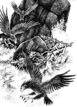 Иллюстрация к книге — Рони, дочь разбойника [i_036.jpg]