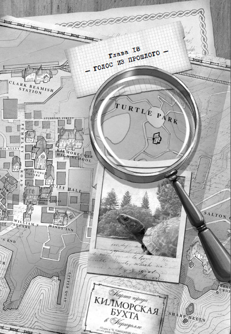 Иллюстрация к книге — Дом зеркал [i_024.jpg]