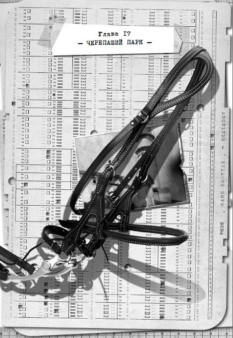 Иллюстрация к книге — Остров масок [i_021.jpg]