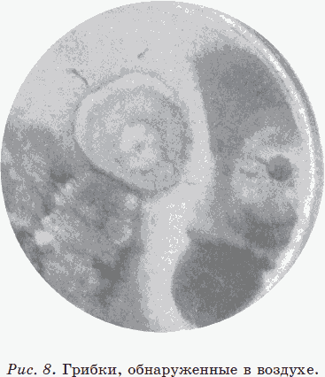 Иллюстрация к книге — Новые тайны нераспознанных диагнозов. Книга 2 [_09.png]