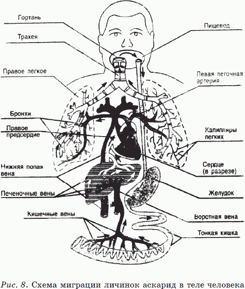 Иллюстрация к книге — Новые тайны нераспознанных диагнозов. Книга 3 [_17.png]
