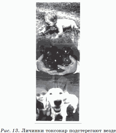 Иллюстрация к книге — Новые тайны нераспознанных диагнозов. Книга 3 [_22.png]