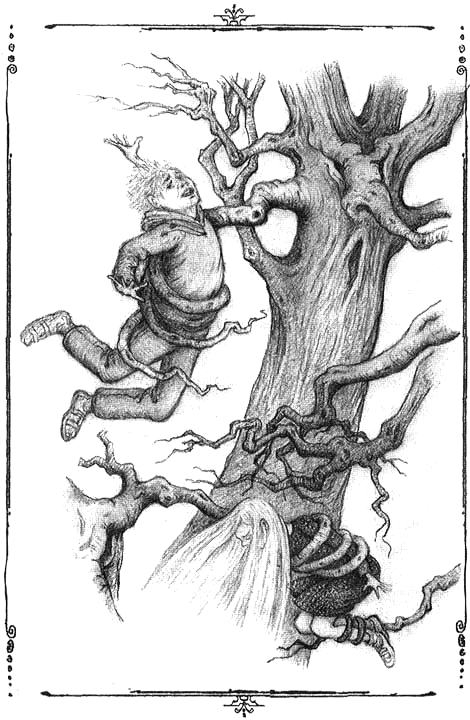 Иллюстрация к книге — Тенистый лес [i_012.png]