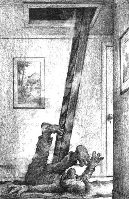 Иллюстрация к книге — Сбежавший тролль [i_007.png]