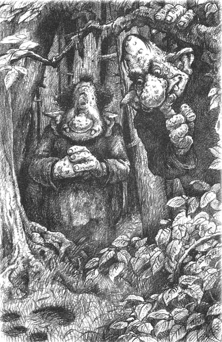 Иллюстрация к книге — Сбежавший тролль [i_008.png]