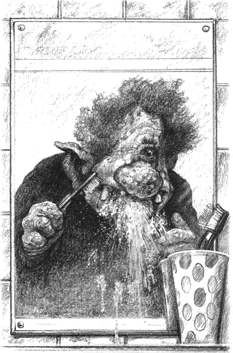 Иллюстрация к книге — Сбежавший тролль [i_009.png]