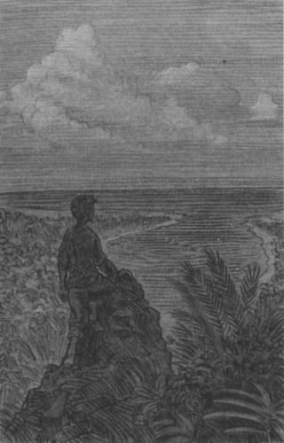 Иллюстрация к книге — Питер Пэн и Ловцы звезд [pic14.jpg]