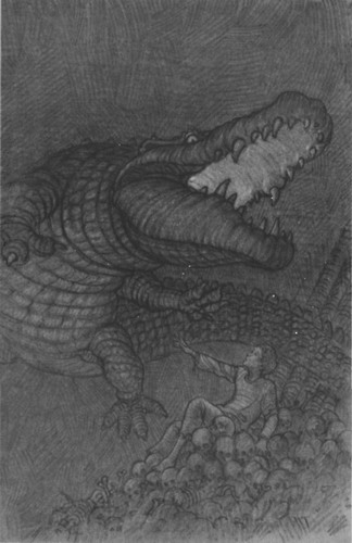 Иллюстрация к книге — Питер Пэн и Ловцы звезд [pic17.jpg]