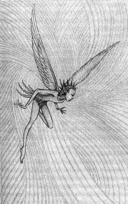 Иллюстрация к книге — Питер Пэн и Похитители теней [pic05.jpg]