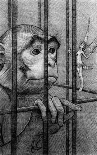 Иллюстрация к книге — Питер Пэн и тайна Рандуна [pic08.jpg]