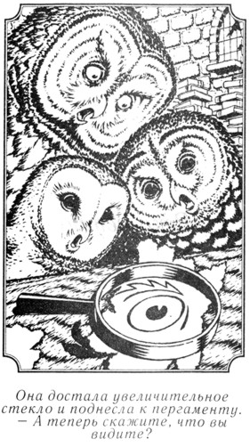 Иллюстрация к книге — Легенды ночных стражей 5: Река ветра [i_003.jpg]