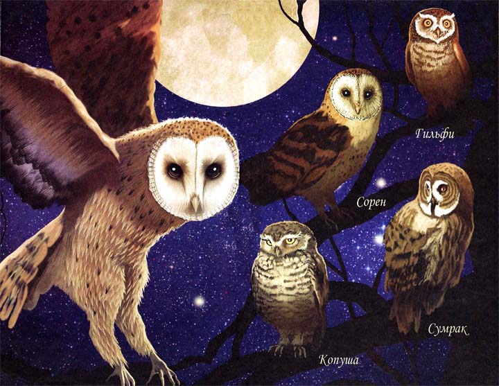 Иллюстрация к книге — Война углей [i_003.jpg]