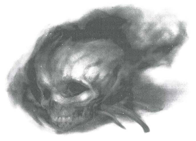 Иллюстрация к книге — Завещание ночи [i_003.jpg]