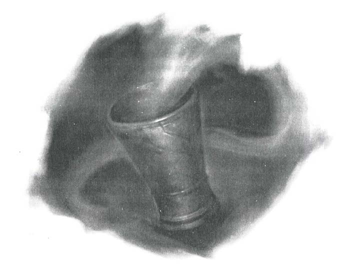 Иллюстрация к книге — Завещание ночи [i_017.jpg]