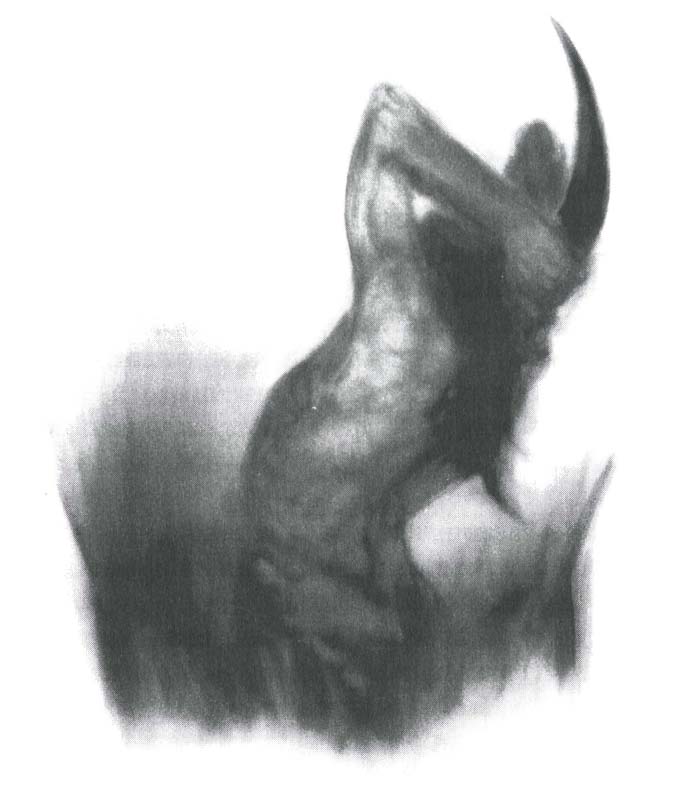 Иллюстрация к книге — Завещание ночи [i_022.jpg]