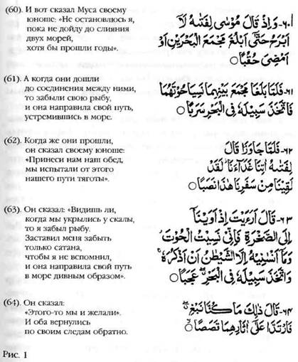 Иллюстрация к книге — Лестница в небо. В поисках бессмертия [i_001.jpg]