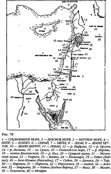 Иллюстрация к книге — Лестница в небо. В поисках бессмертия [i_079.jpg]