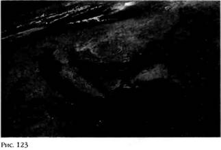 Иллюстрация к книге — Лестница в небо. В поисках бессмертия [i_119.jpg]