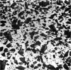 Иллюстрация к книге — Войны богов и людей [pic_120.jpg]