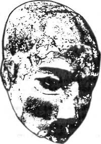 Иллюстрация к книге — Войны богов и людей [pic_66.jpg]