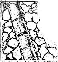 Иллюстрация к книге — Потерянные царства [pic_24.jpg]