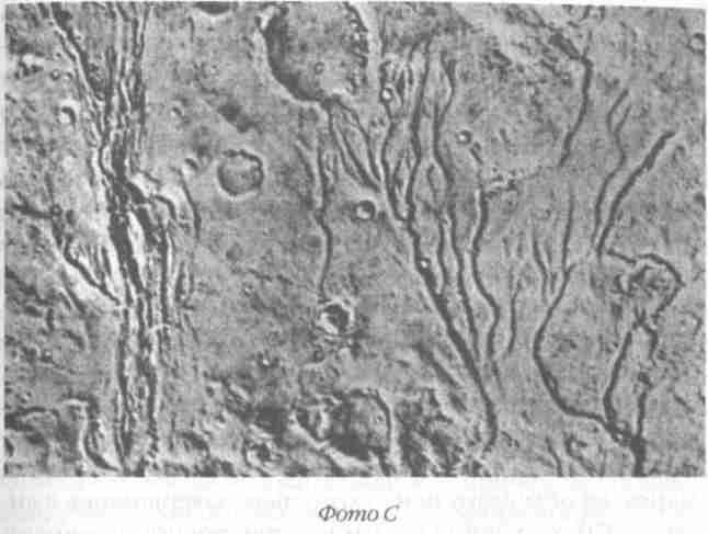 Иллюстрация к книге — Назад в будущее [i_020.jpg]