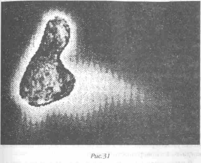 Иллюстрация к книге — Назад в будущее [i_035.jpg]