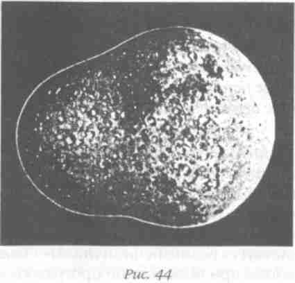 Иллюстрация к книге — Назад в будущее [i_050.jpg]