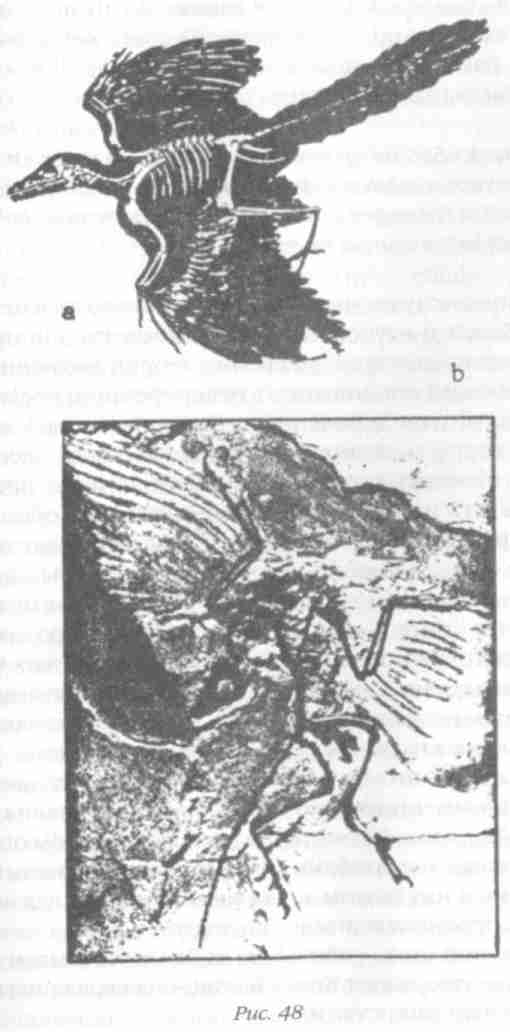 Иллюстрация к книге — Назад в будущее [i_054.jpg]