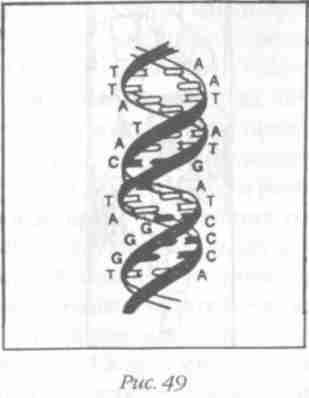 Иллюстрация к книге — Назад в будущее [i_055.jpg]