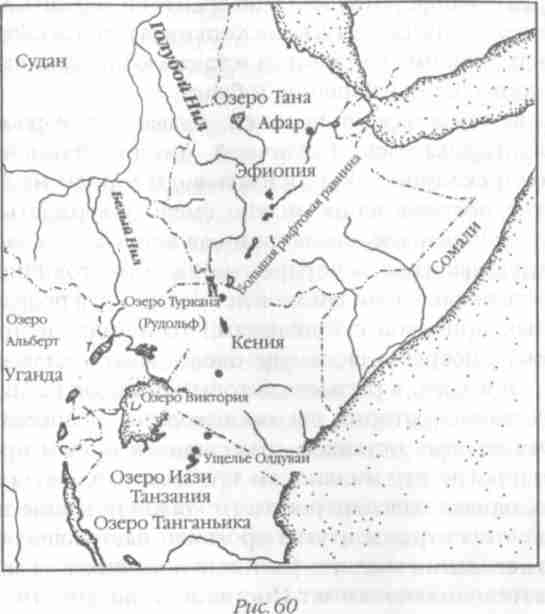 Иллюстрация к книге — Назад в будущее [i_065.jpg]