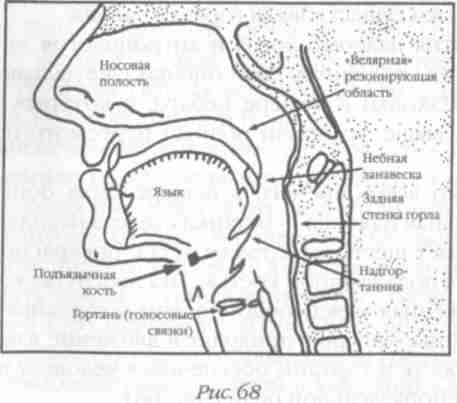 Иллюстрация к книге — Назад в будущее [i_073.jpg]