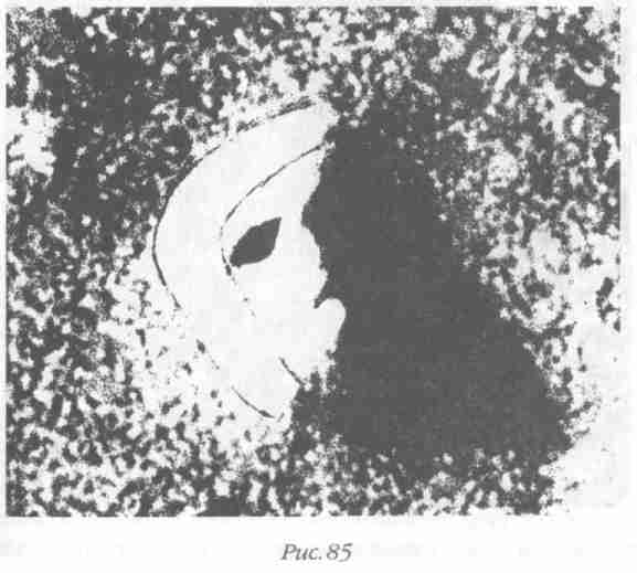 Иллюстрация к книге — Назад в будущее [i_089.jpg]