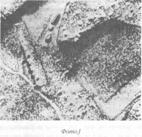 Иллюстрация к книге — Назад в будущее [i_099.jpg]