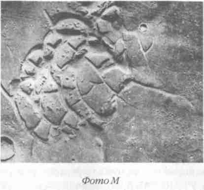 Иллюстрация к книге — Назад в будущее [i_103.jpg]