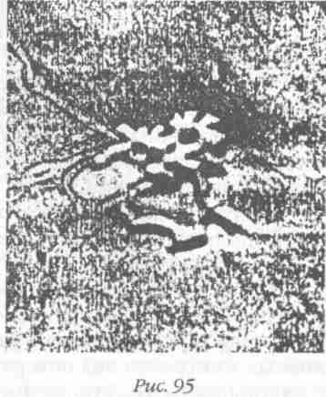 Иллюстрация к книге — Назад в будущее [i_109.jpg]