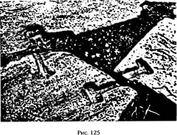 Иллюстрация к книге — Армагеддон откладывается [i_121.jpg]