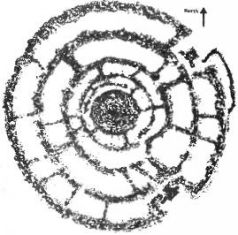 Иллюстрация к книге — Космический код [pic_4.jpg]