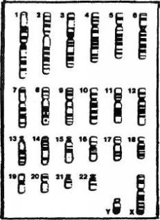 Иллюстрация к книге — Космический код [pic_45.jpg]