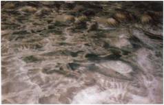 Иллюстрация к книге — Колыбели цивилизаций [auto_fb_img_loader_159.jpg]